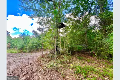 0 Abbeville Highway, Pineview, GA 31001 - Photo 47