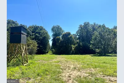 0 Abbeville Highway, Pineview, GA 31001 - Photo 35