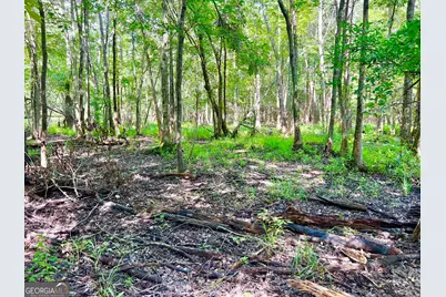 0 Abbeville Highway, Pineview, GA 31001 - Photo 67