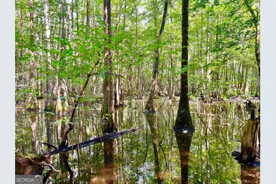 0 Abbeville Highway, Pineview, GA 31001 - Photo 51