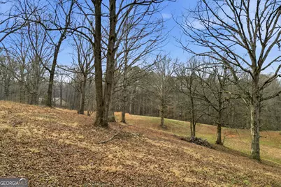 410 N Stringer Road, Canton, GA 30114 - Photo 3