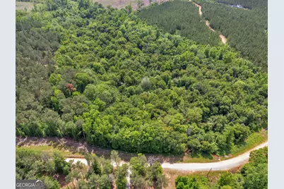 0 Perkins Road, Barnesville, GA 30204 - Photo 9