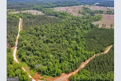 0 Perkins Road, Barnesville, GA 30204 - Photo 7