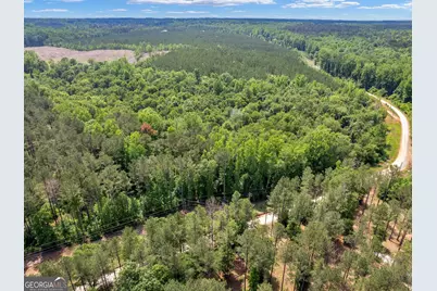 0 Perkins Road, Barnesville, GA 30204 - Photo 5