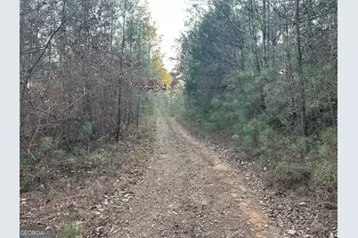 0 - Tract 4 Mt Zion Church Road, Whitesburg, GA 30185 - Photo 27
