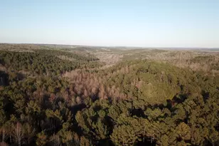 0 - Tract 4 Mt Zion Church Rd, Whitesburg, GA 30185 - Photo 1