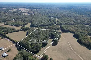 261 Hwy 85 Conn, Brooks, GA 30205 - Photo 71