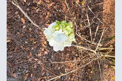 5686 Golden Isle W, Baxley, GA 31513 - Photo 65