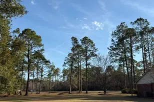 5686 Golden Isles W, Baxley, GA 31513 - Photo 61