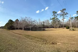 5686 Golden Isles W, Baxley, GA 31513 - Photo 7