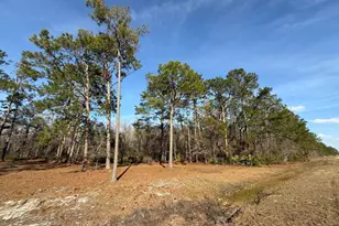 5686 Golden Isles W, Baxley, GA 31513 - Photo 5