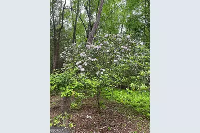 0 Rivers End Trail, Suches, GA 30572 - Photo 31