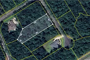 V/L 104 Satilla River Landing, Woodbine, GA 31569 - Photo 1