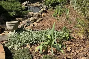 991 Adair Mill Rd, Cleveland, GA 30528 - Photo 11