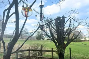 991 Adair Mill Rd, Cleveland, GA 30528 - Photo 71