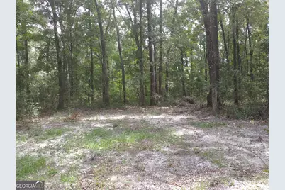 1046 Harmony Hill Lane NE, Townsend, GA 31331 - Photo 1