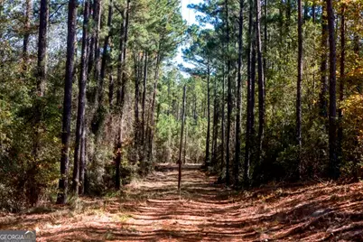 0 Anderson Road #TRACT 1, Statesboro, GA 30458 - Photo 5