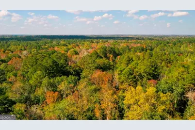 0 Anderson Road #TRACT 1, Statesboro, GA 30458 - Photo 27