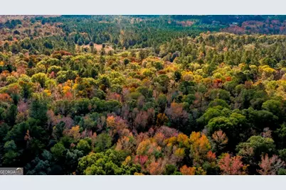 0 Anderson Road #TRACT 1, Statesboro, GA 30458 - Photo 29