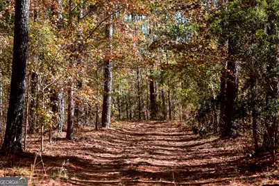 0 Anderson Road #TRACT 1, Statesboro, GA 30458 - Photo 3