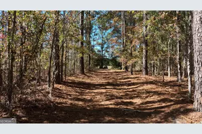 0 Anderson Road #TRACT 1, Statesboro, GA 30458 - Photo 19