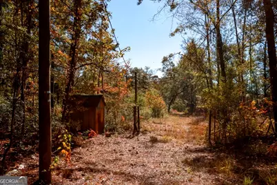 0 Anderson Road #TRACT 1, Statesboro, GA 30458 - Photo 7
