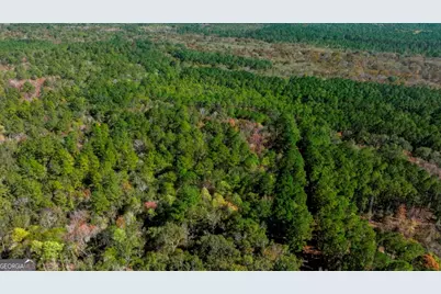0 Anderson Road #TRACT 1, Statesboro, GA 30458 - Photo 25