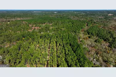 0 Anderson Road #TRACT 1, Statesboro, GA 30458 - Photo 11
