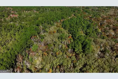 0 Anderson Road #TRACT 1, Statesboro, GA 30458 - Photo 11