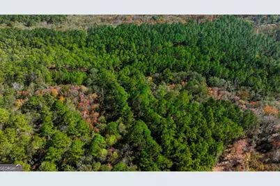 0 Anderson Road #TRACT 1, Statesboro, GA 30458 - Photo 27