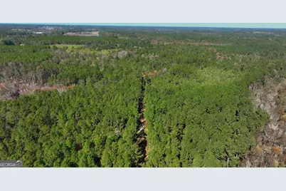 0 Anderson Road #TRACT 1, Statesboro, GA 30458 - Photo 13