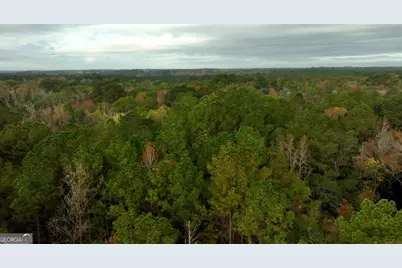 0 Anderson Road #TRACT 1, Statesboro, GA 30458 - Photo 21