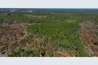 0 Anderson Road #TRACT 1, Statesboro, GA 30458 - Photo 15
