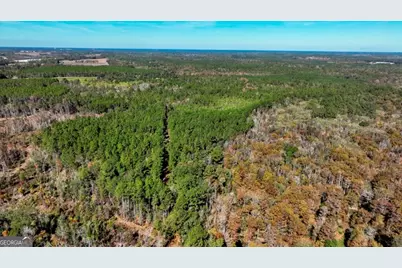 0 Anderson Road #TRACT 1, Statesboro, GA 30458 - Photo 21