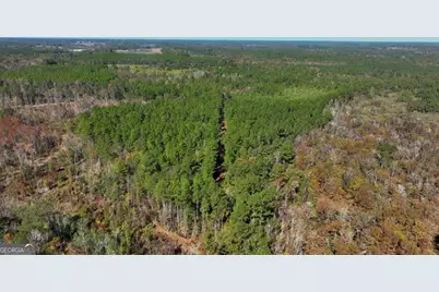 0 Anderson Road #TRACT 1, Statesboro, GA 30458 - Photo 13
