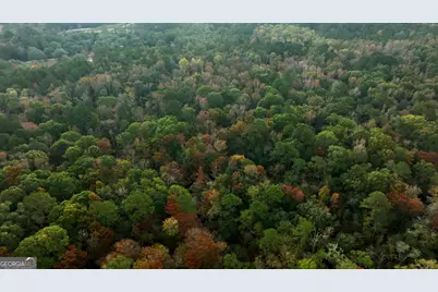 0 Twin Forks Rd/Martin Road #TRACT 2, Statesboro, GA 30458 - Photo 1