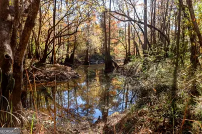 0 Twin Forks Rd/Martin Road #TRACT 3, Statesboro, GA 30458 - Photo 1