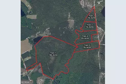0 Twin Forks Rd/Martin Road #TRACT 4, Statesboro, GA 30458 - Photo 3