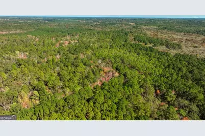 0 Twin Forks Rd/Martin Road #TRACT 4, Statesboro, GA 30458 - Photo 7