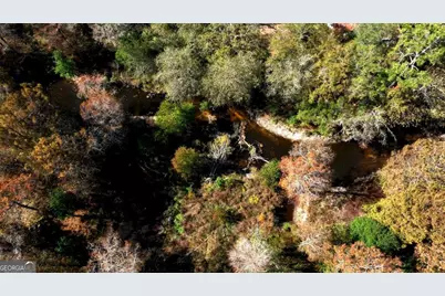 0 Twin Forks Rd/Martin Road #TRACT 4, Statesboro, GA 30458 - Photo 3