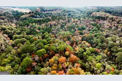 0 Twin Forks Rd/Martin Road #TRACT 5, Statesboro, GA 30458 - Photo 9