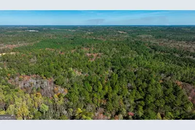 0 Twin Forks Rd/Martin Road #TRACT 5, Statesboro, GA 30458 - Photo 7