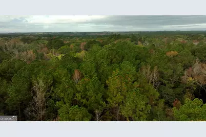 0 Twin Forks Rd/Martin Road #TRACT 5, Statesboro, GA 30458 - Photo 5