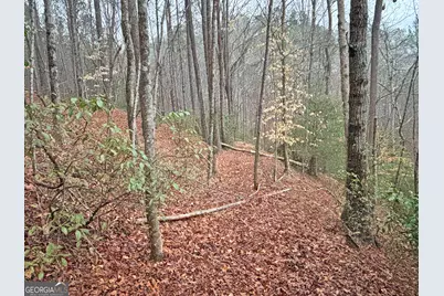 5Ac Lovejoy Lane, Talking Rock, GA 30175 - Photo 15