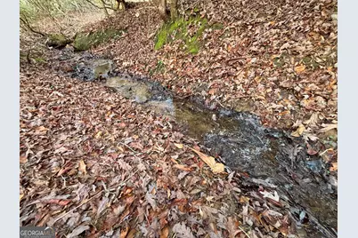 5Ac Lovejoy Lane, Talking Rock, GA 30175 - Photo 17