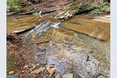 5Ac Lovejoy Lane, Talking Rock, GA 30175 - Photo 25