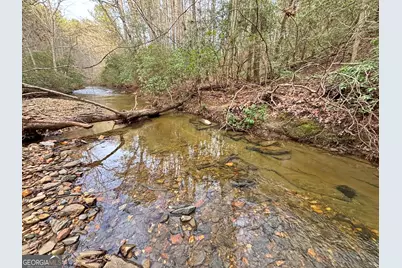 5Ac Lovejoy Lane, Talking Rock, GA 30175 - Photo 33