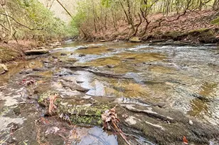 5Ac Lovejoy Ln, Talking Rock, GA 30175 - Photo 1