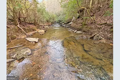 5Ac Lovejoy Lane, Talking Rock, GA 30175 - Photo 3