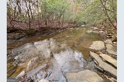 5Ac Lovejoy Lane, Talking Rock, GA 30175 - Photo 5